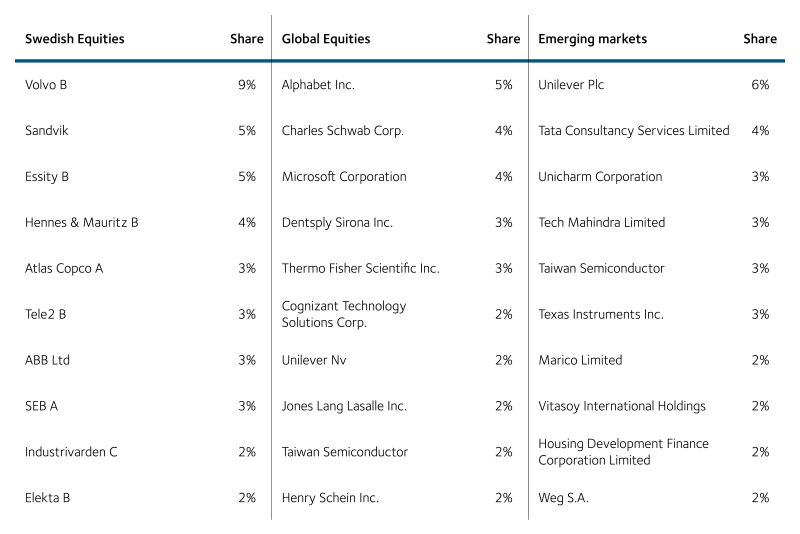 Table - Our largest holdings in equities 2019