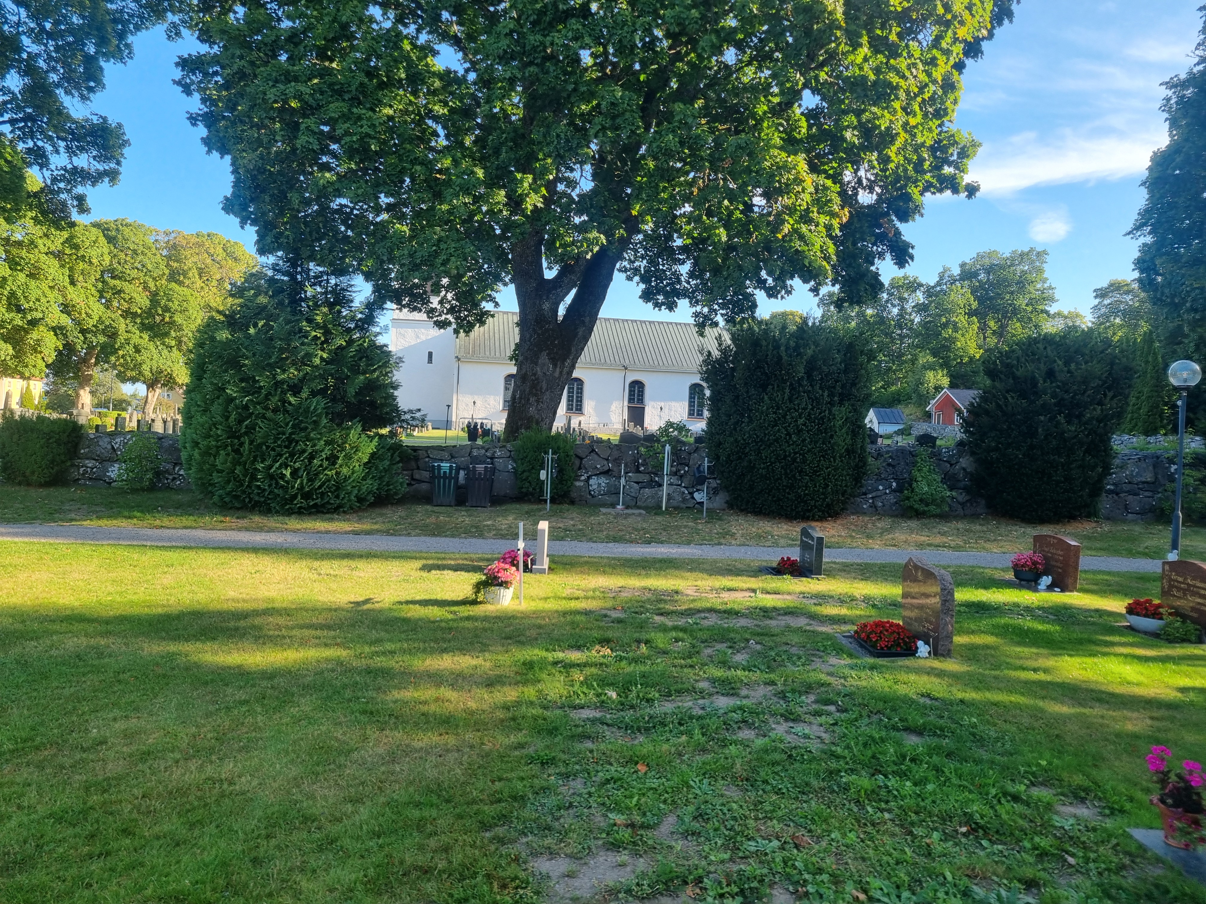 Kyrkogård, sommarbild