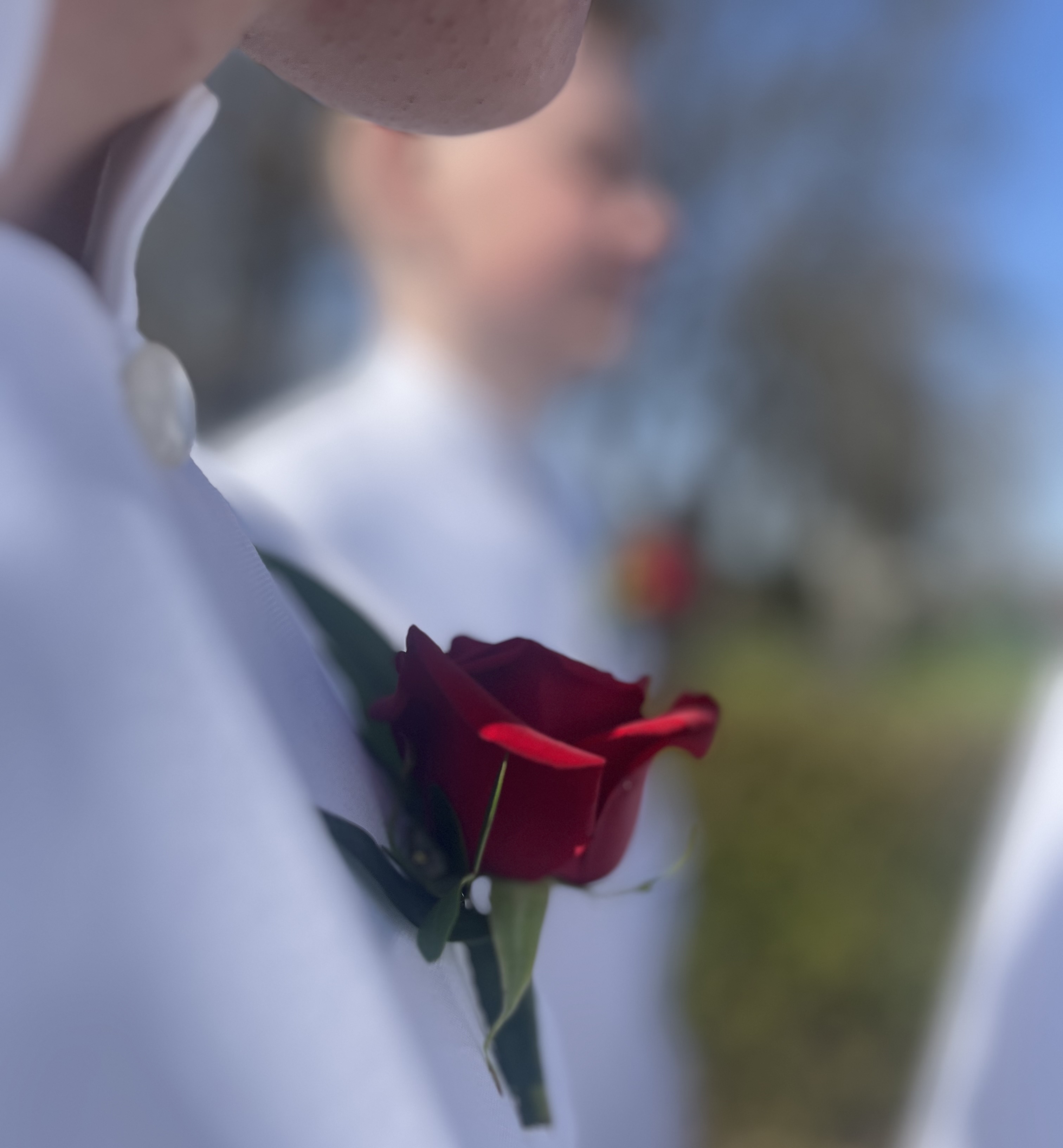 Detaljbild på ros och konfirmand