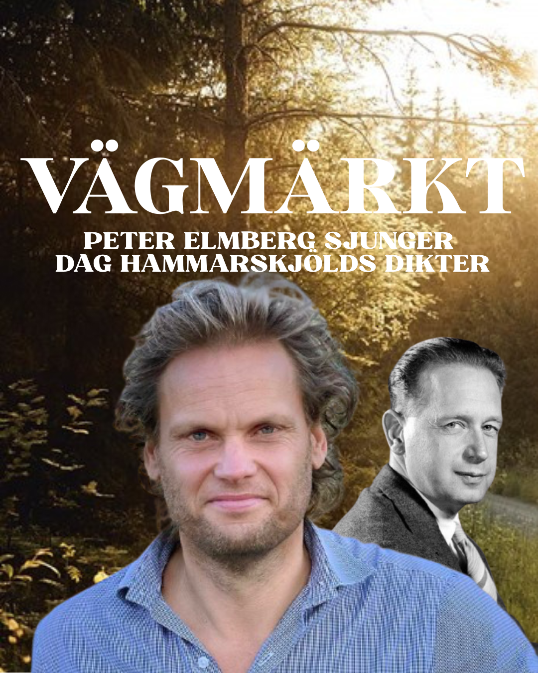 Konsert Vägmärkt