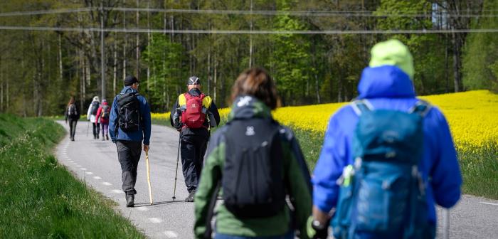 dejta kvinnor i knutby