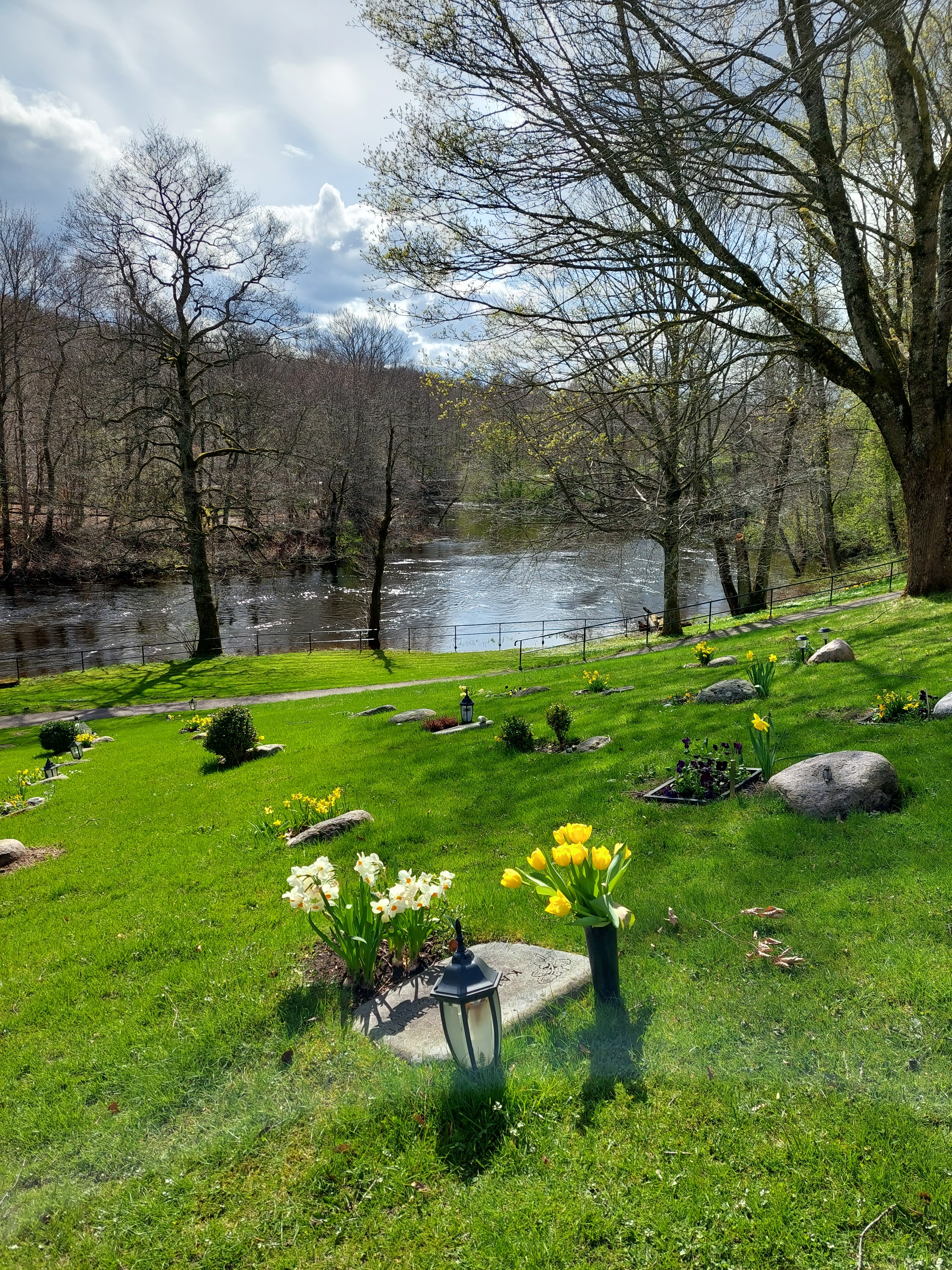 Fotografi på kvarter L på Lerums östra kyrkogård en solig vårdag med Säveån i bakgrunden