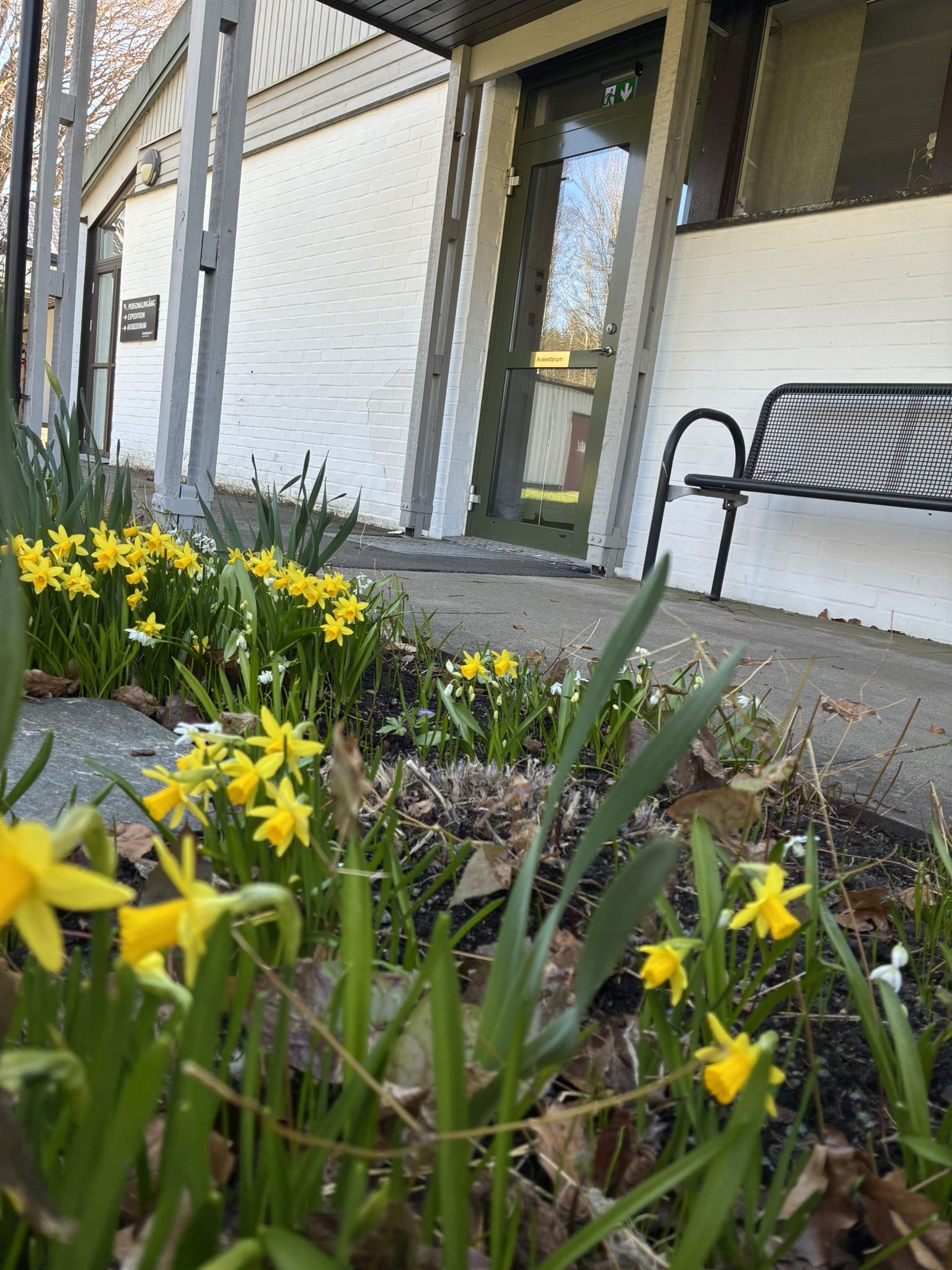 Avskedsrum med vårblommor på Lerums Östra kyrkogår