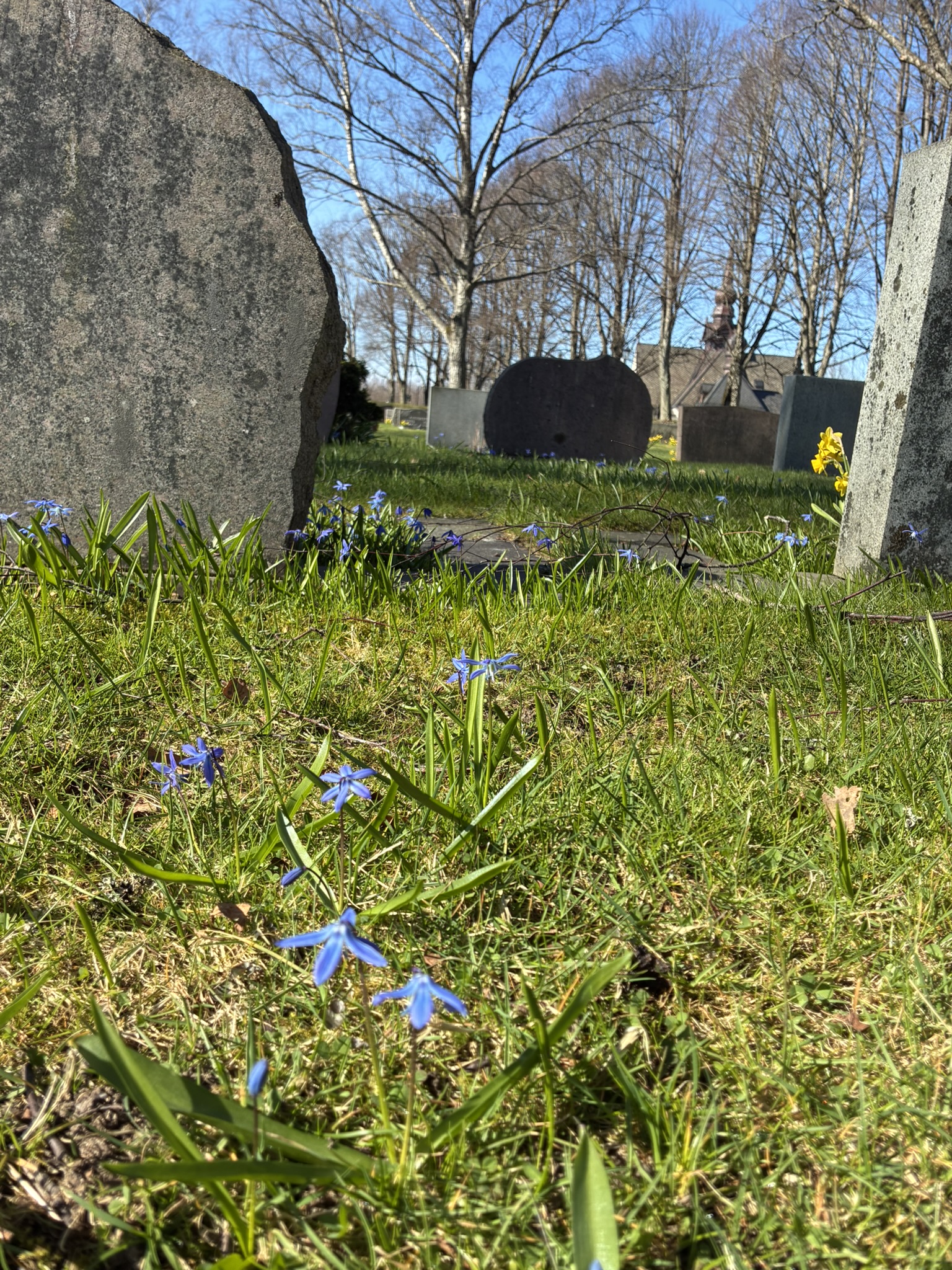 Kistgravar i vårsolen på Lerums Östra kyrkogård