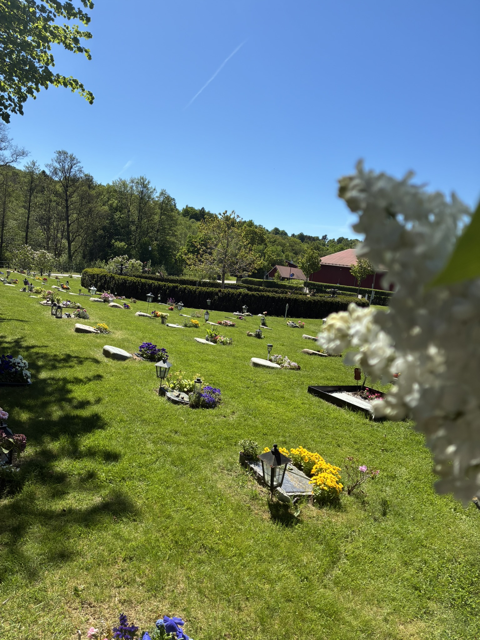 Urnkvarter syrenen & Askgravplats på Östra kyrkogården