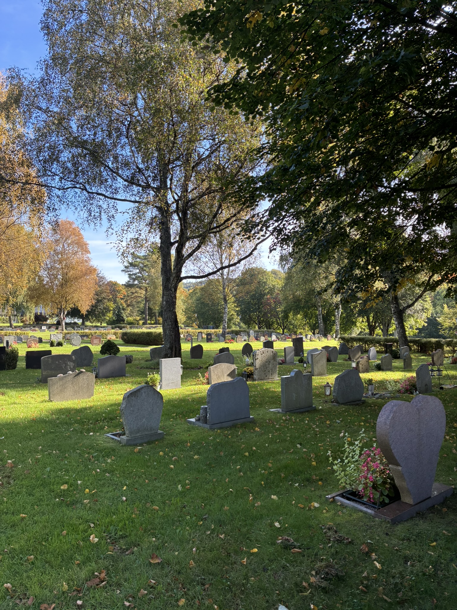 Kvarter A på Östra kyrkogården i höstskrud