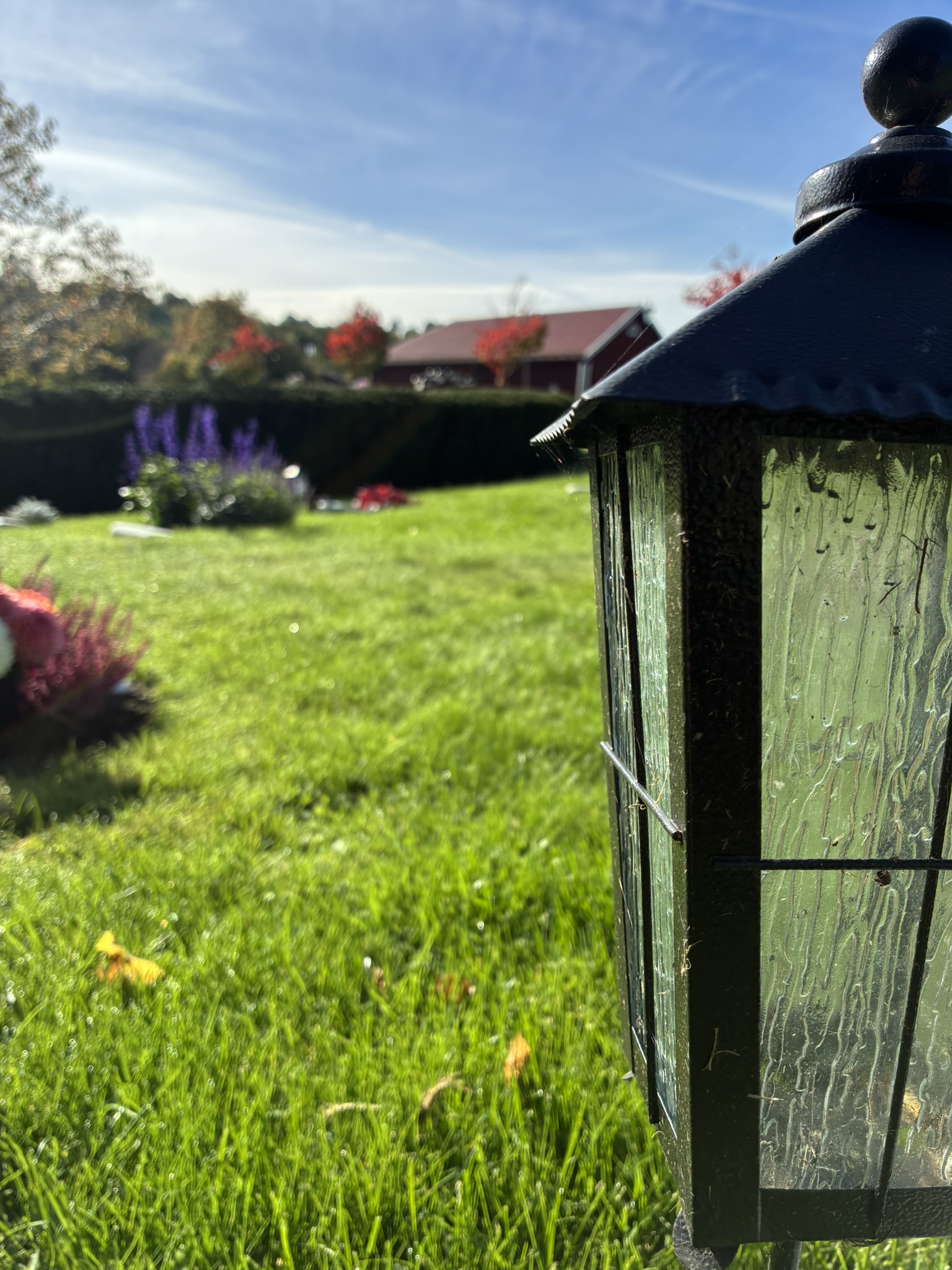 Kvarter SN med gravlykta på gravplats i höstskrud
