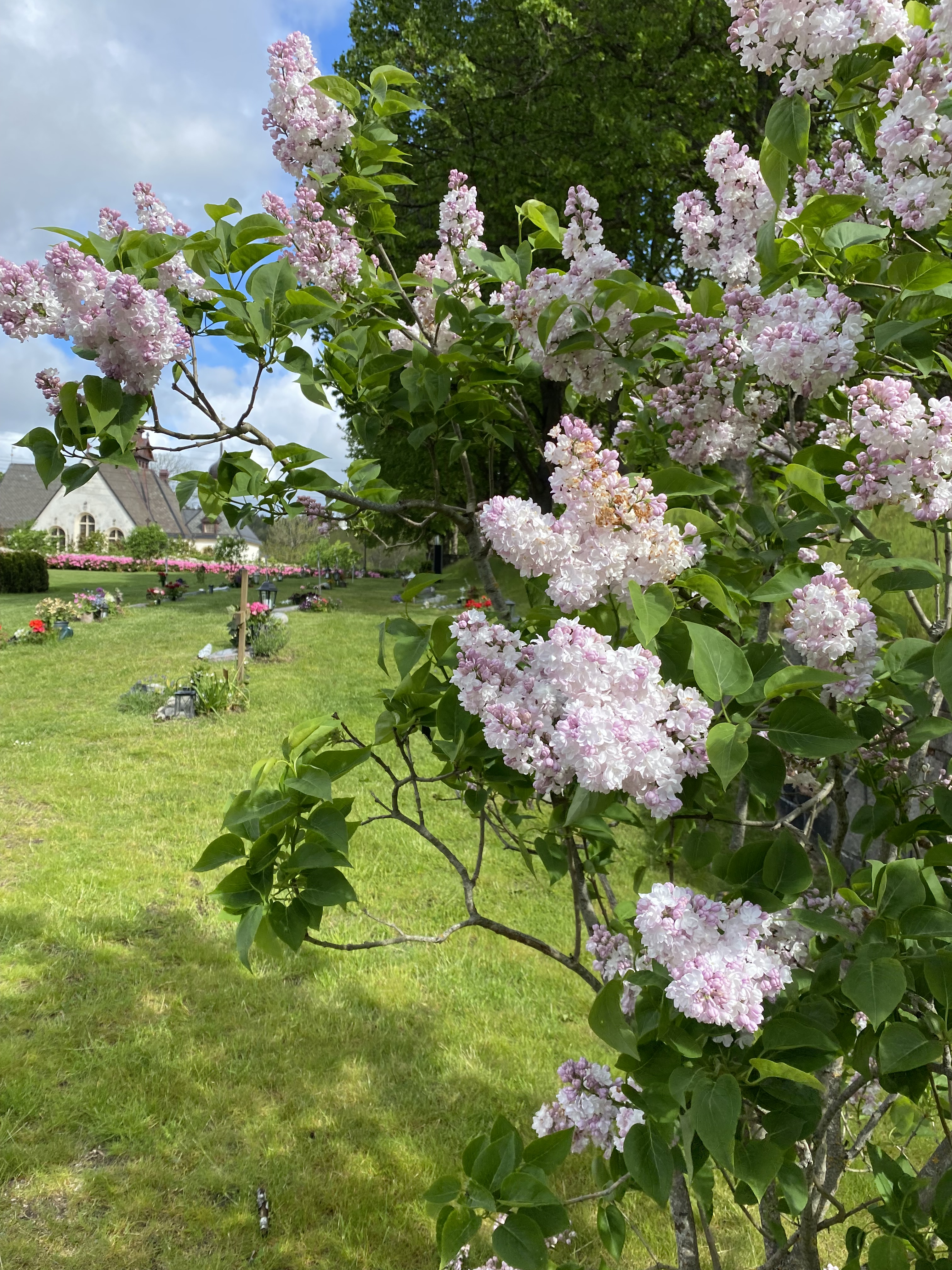 Kvarter Syrenen, Östra kyrkogården