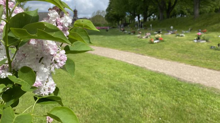 Kvarter Syrenen, Östra kyrkogården