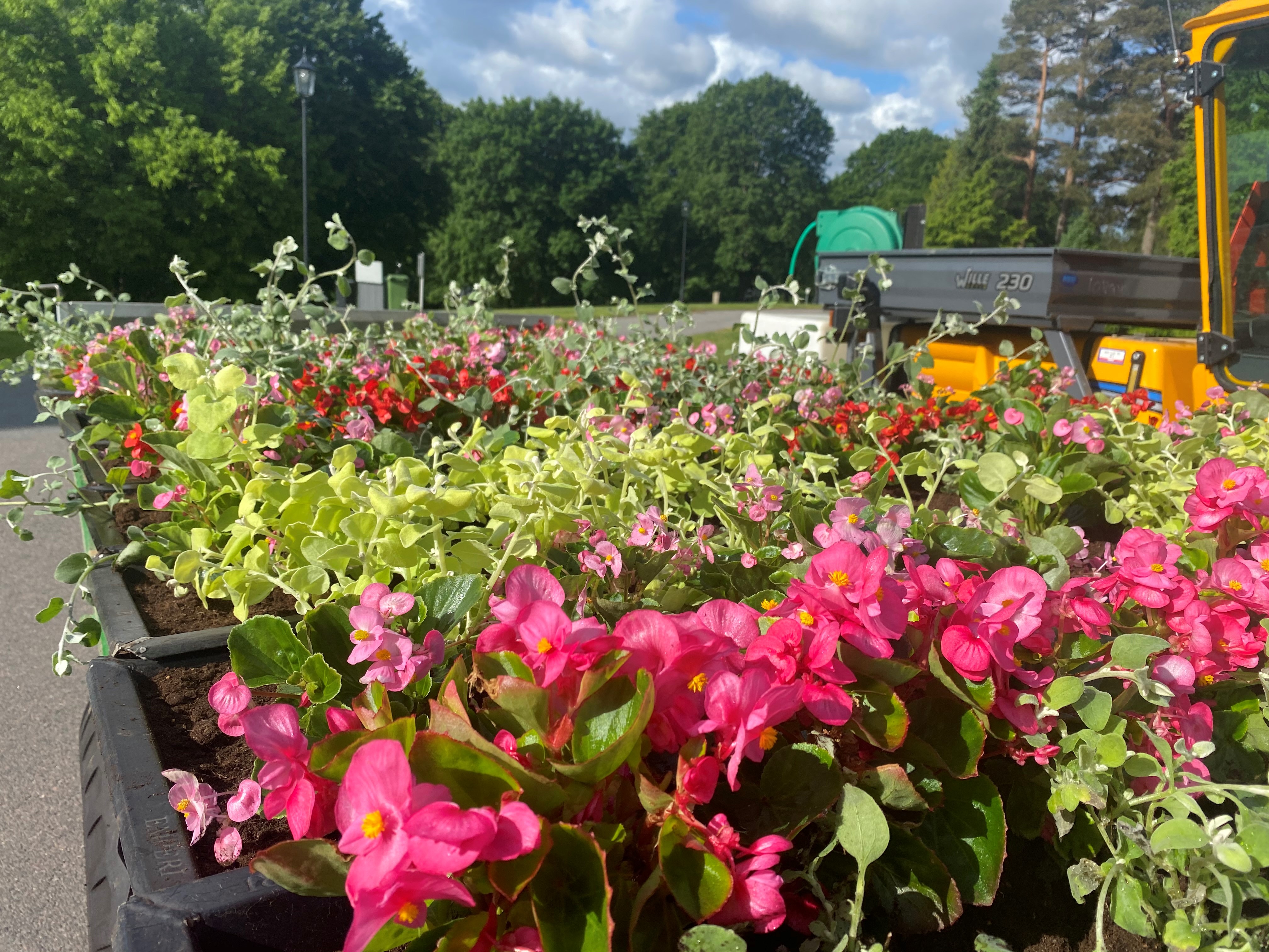 Sommarplantering, Lerums kyrkogård