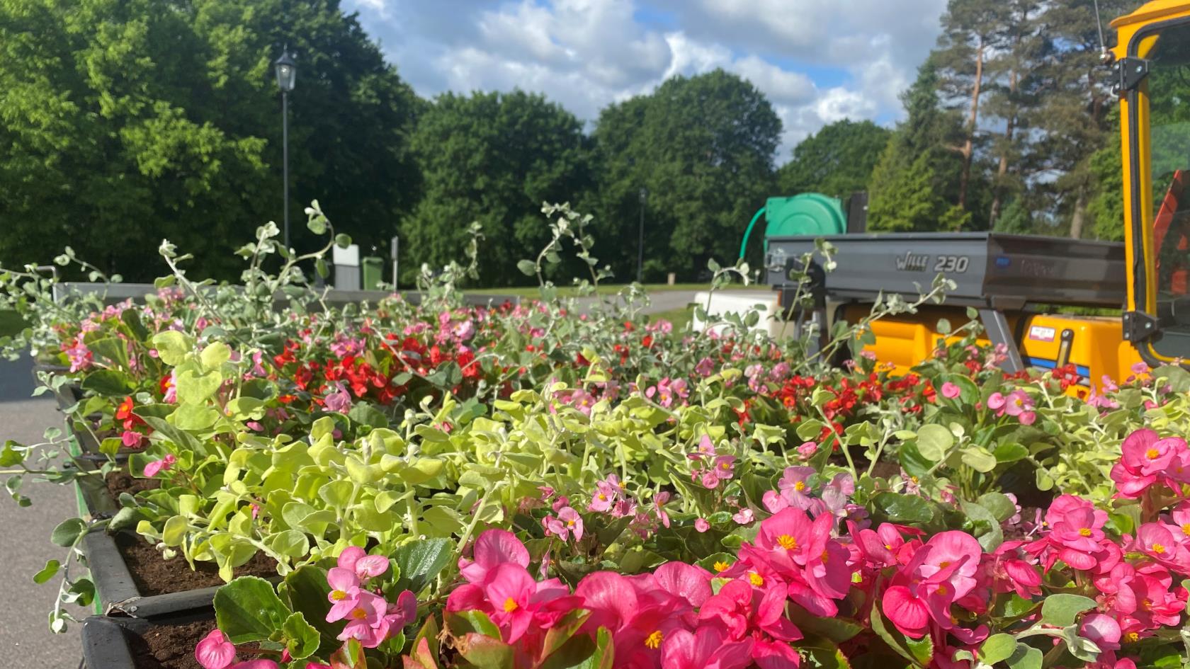 Sommarplantering, Lerums kyrkogård