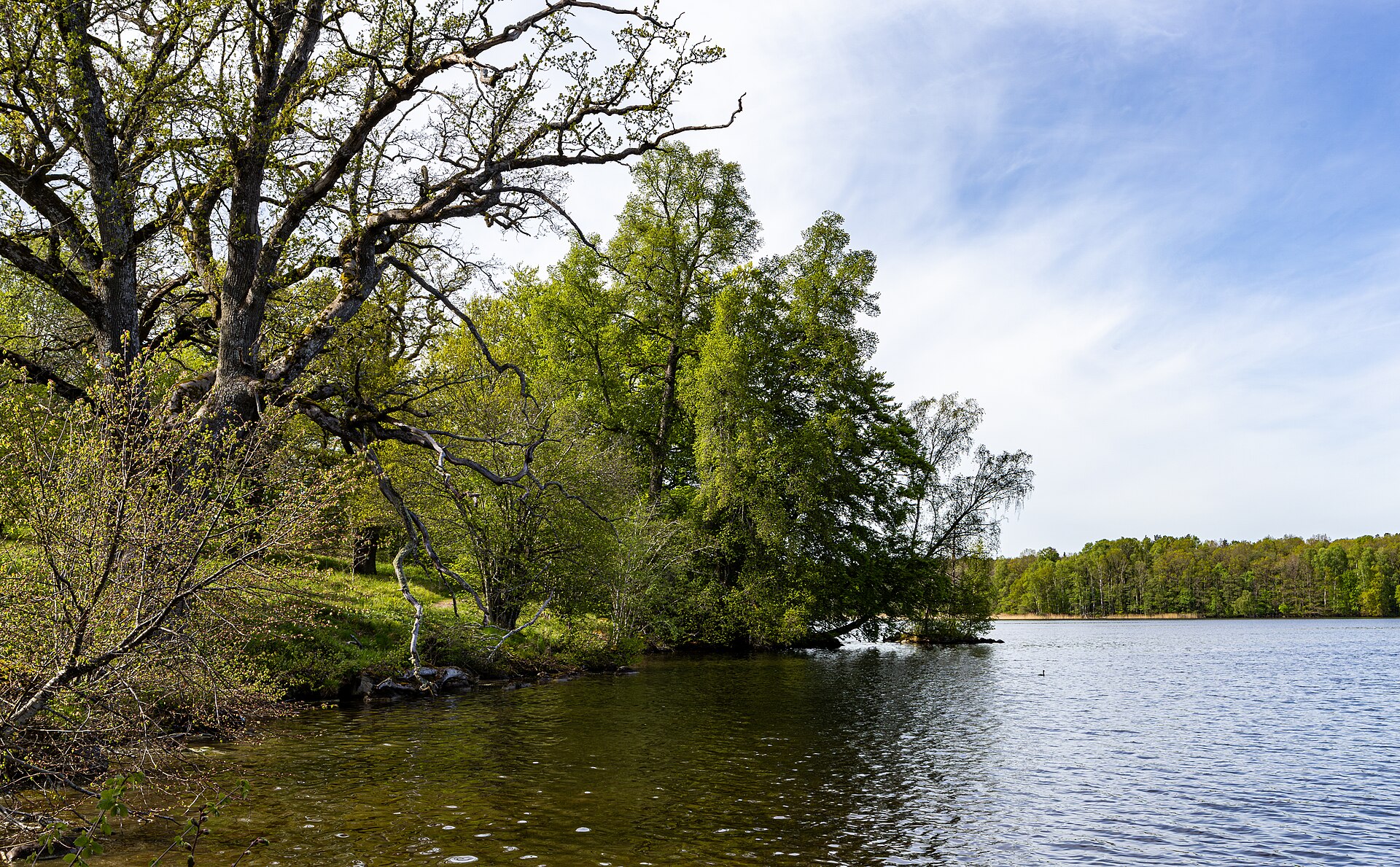 Bild över sjön Sävelången i Floda
