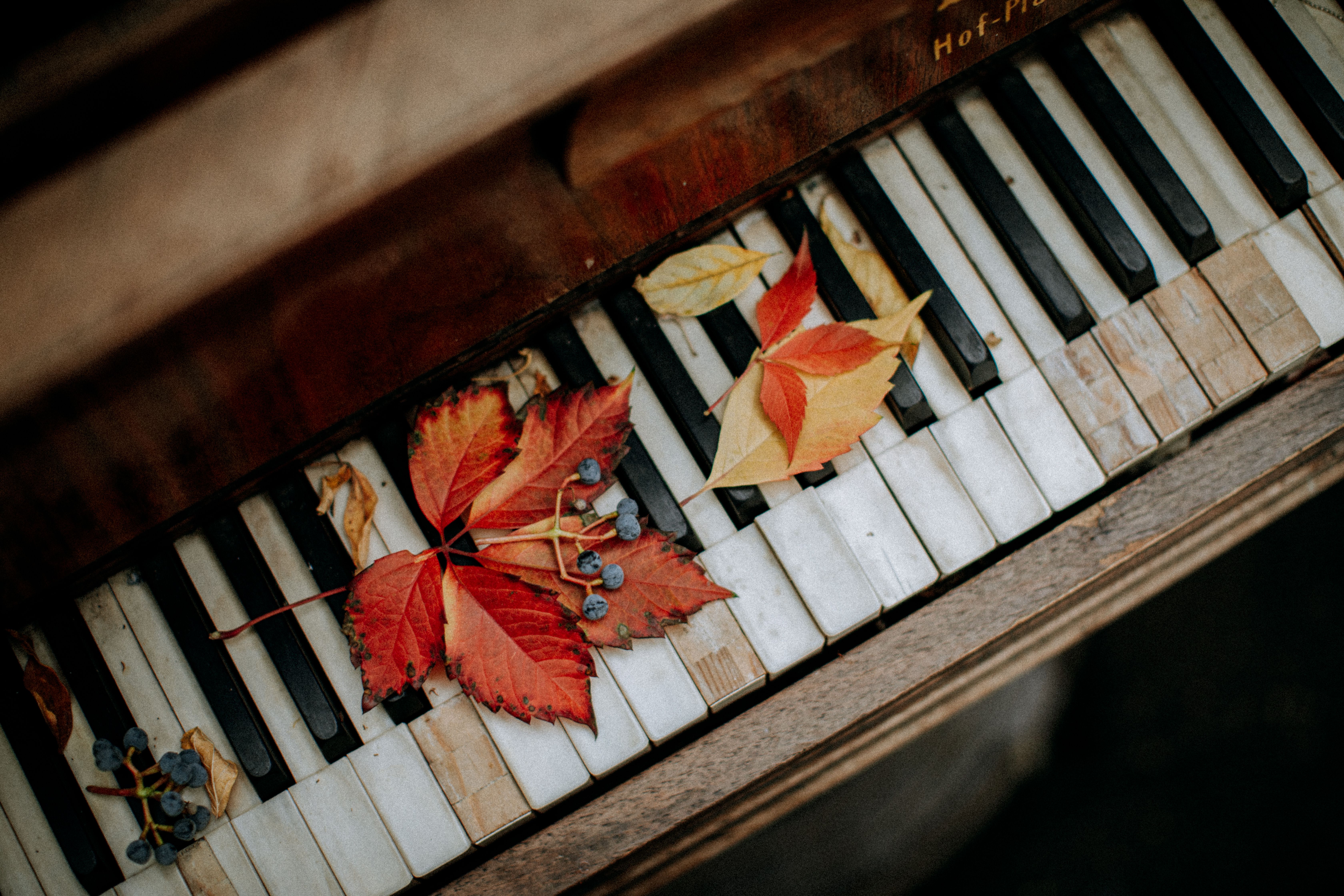 Piano med höstlöv