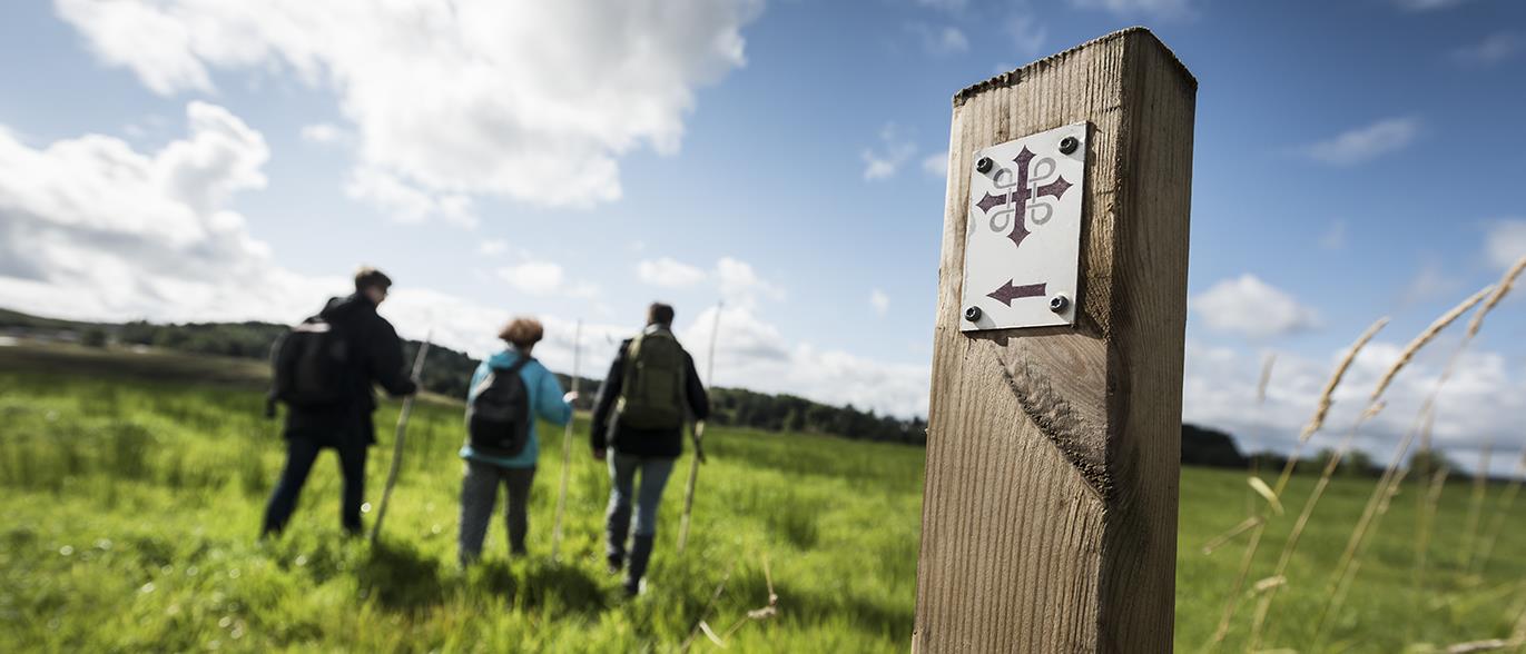 Vandrare längs Sankt Olavsleden