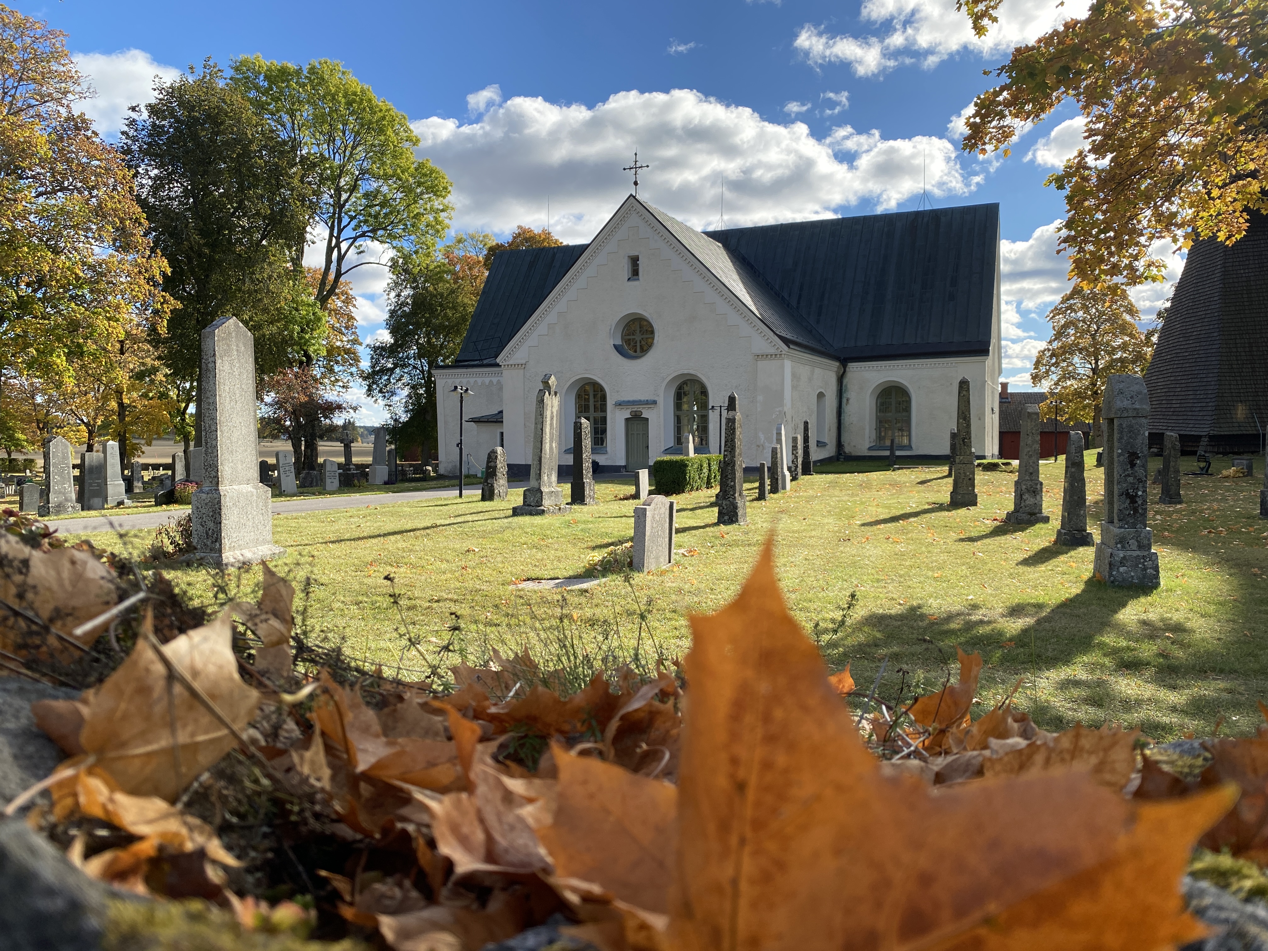 En vit liten kyrka med ett rostrött lönnlöv i förgrunden.