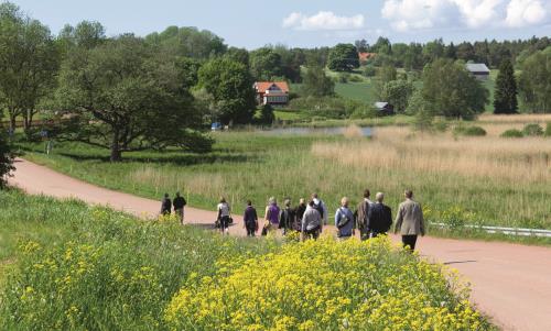 I dessa tider när vi behöver vara extra rädda om varandra, är promenader ett bra sätt att umgås på.
