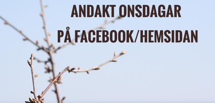 På onsdagar kommer vi att sända en inspelad andakt på Facebook och hemsidan.
Detta gäller alla onsdagar fram t.o.m. 31 maj.