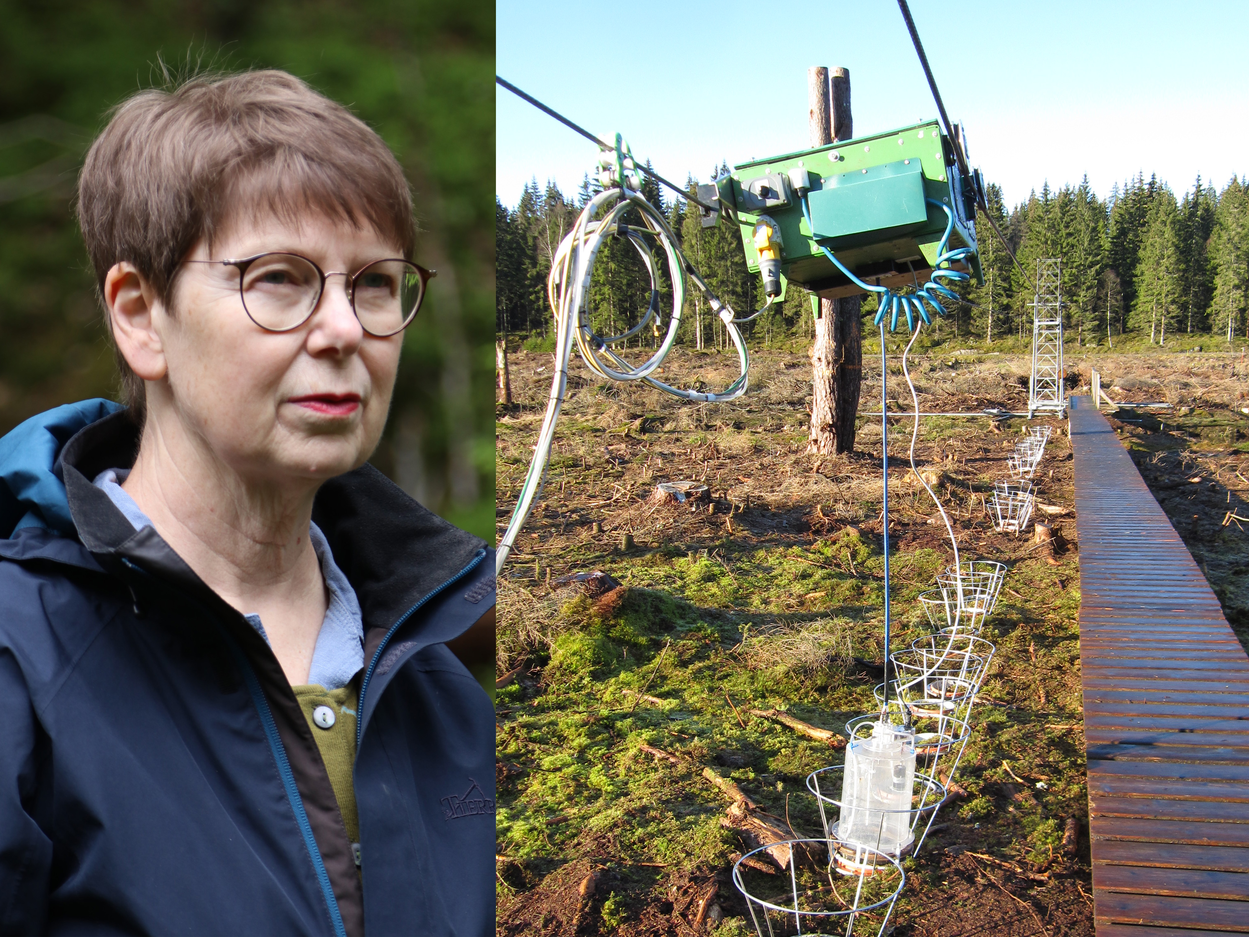 Kvinna med glasögon och mätutrustning på öppen torvmark.