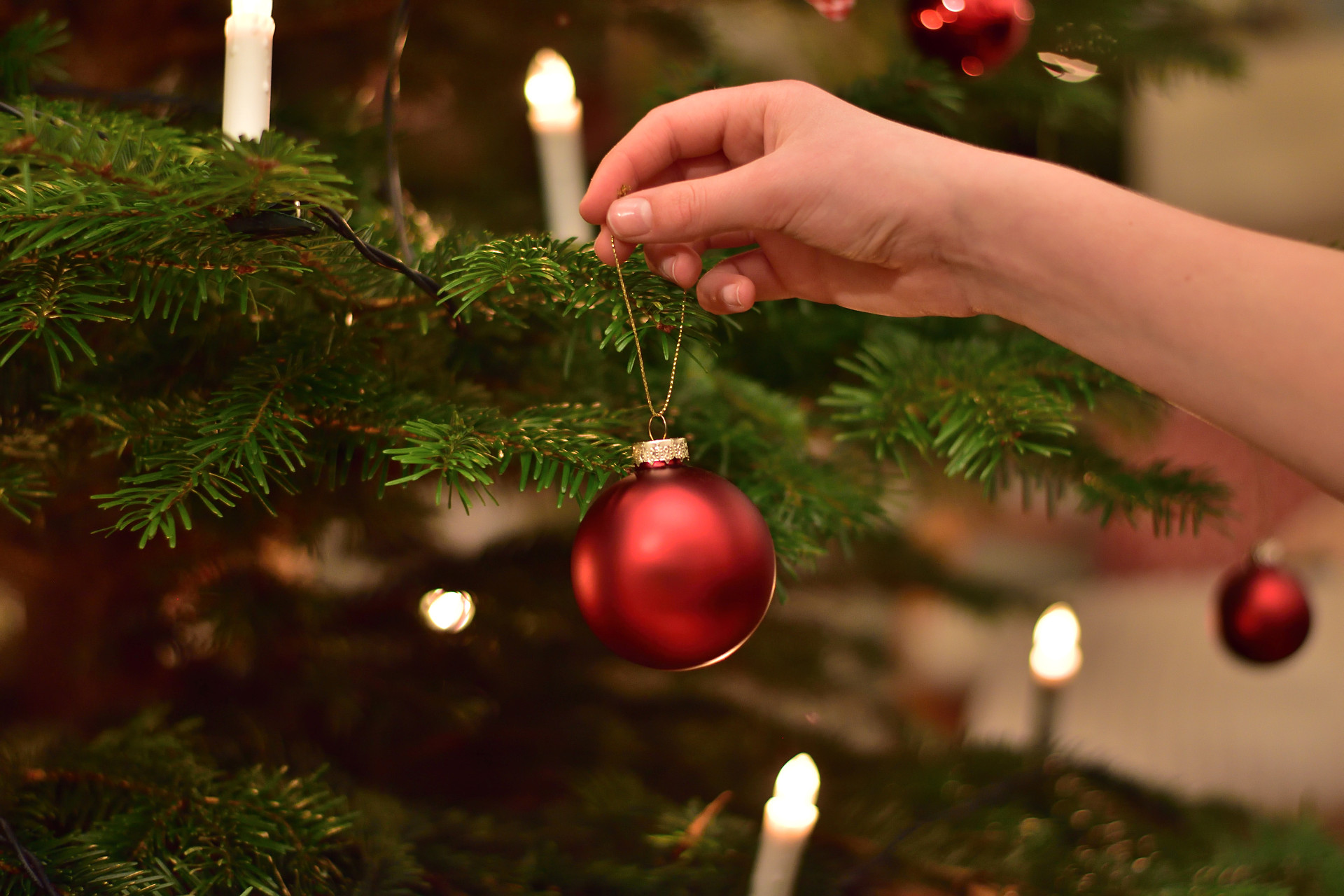 Hand som hänger upp julgranskula.