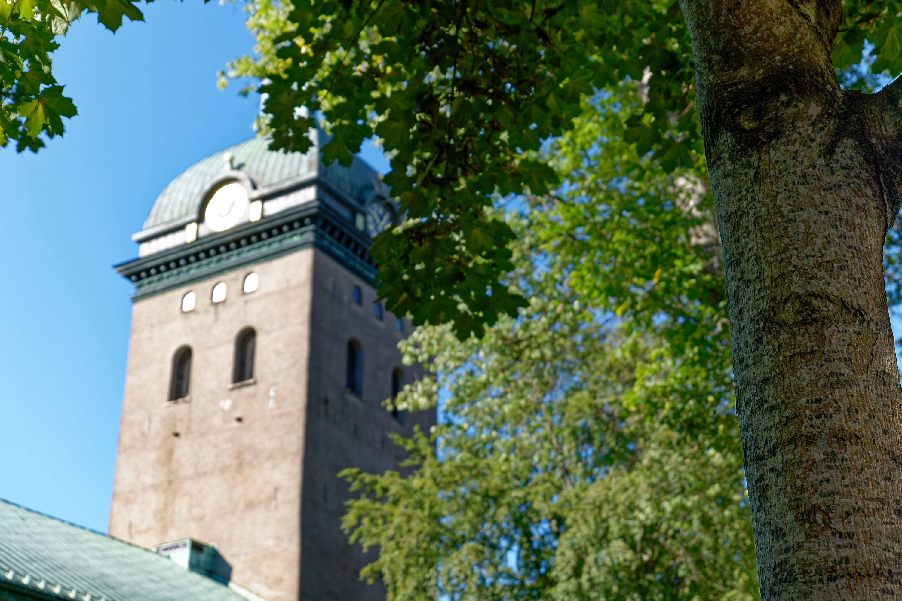 Kyrktorn med gröna träd i förgrunden.