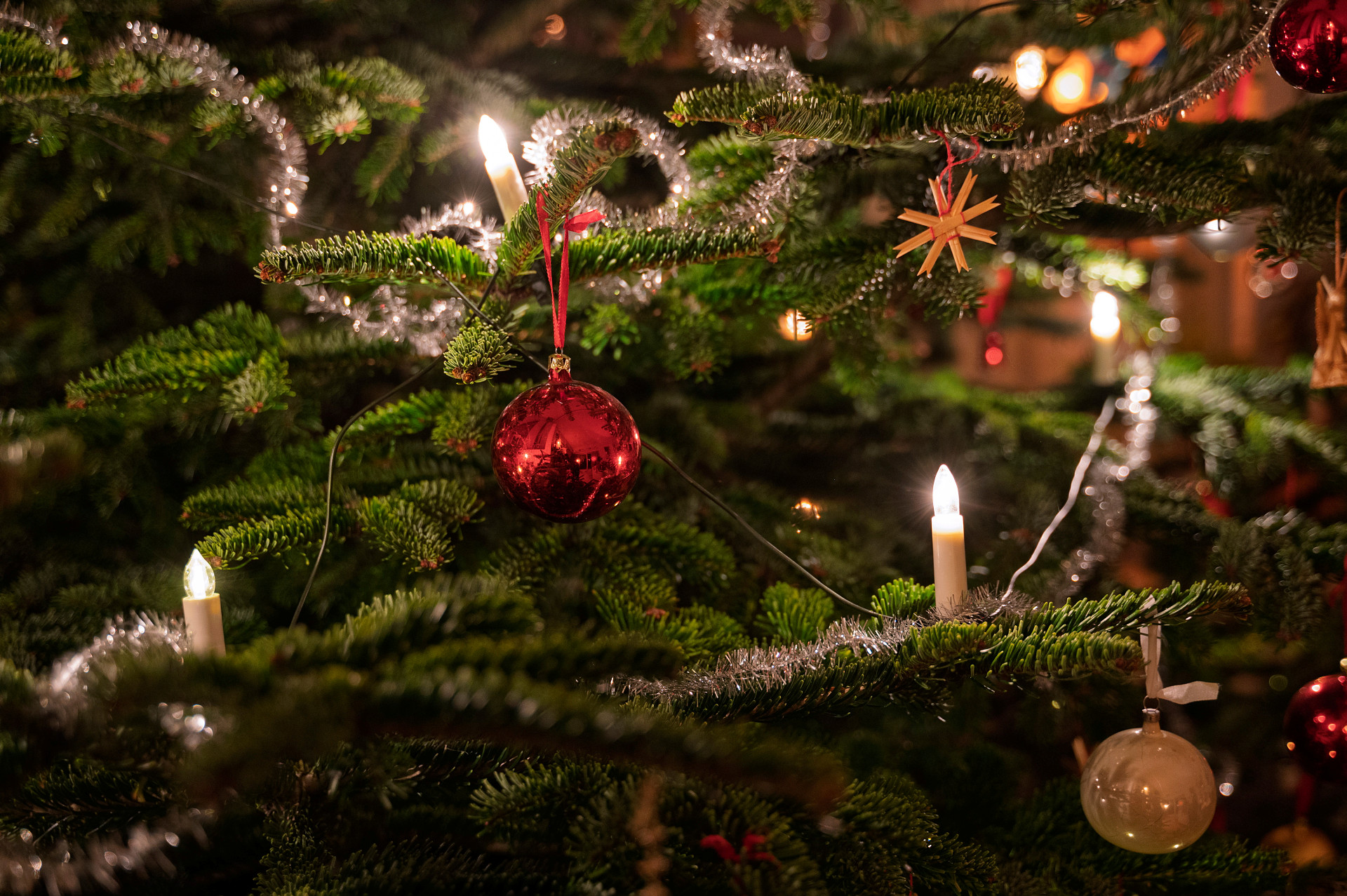 Julgranskula i gran.