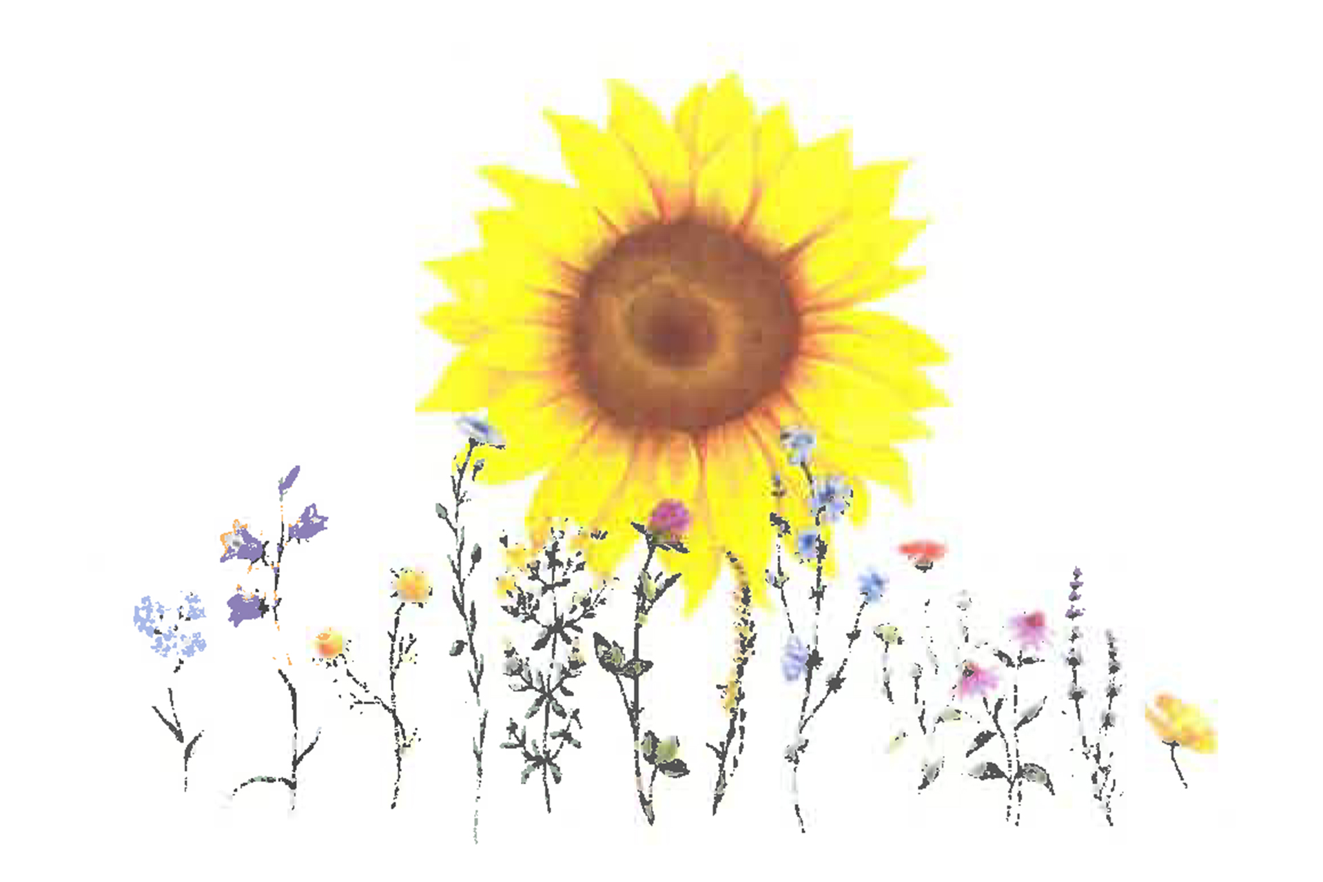 Tecknade sommarblommor mot vit bakgrund och en stor solros i fokus.