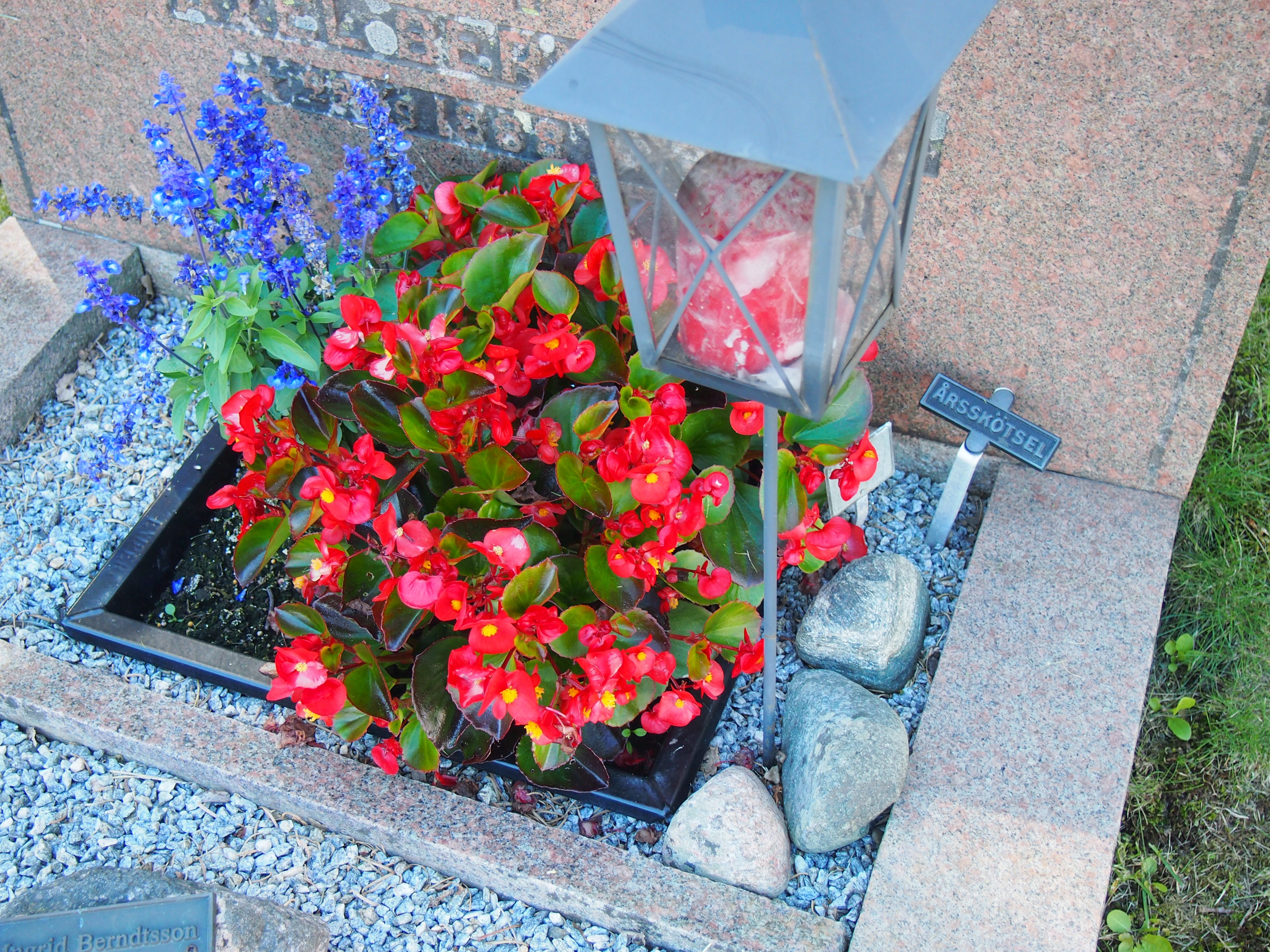 En grav med röda och lila sommarblommor