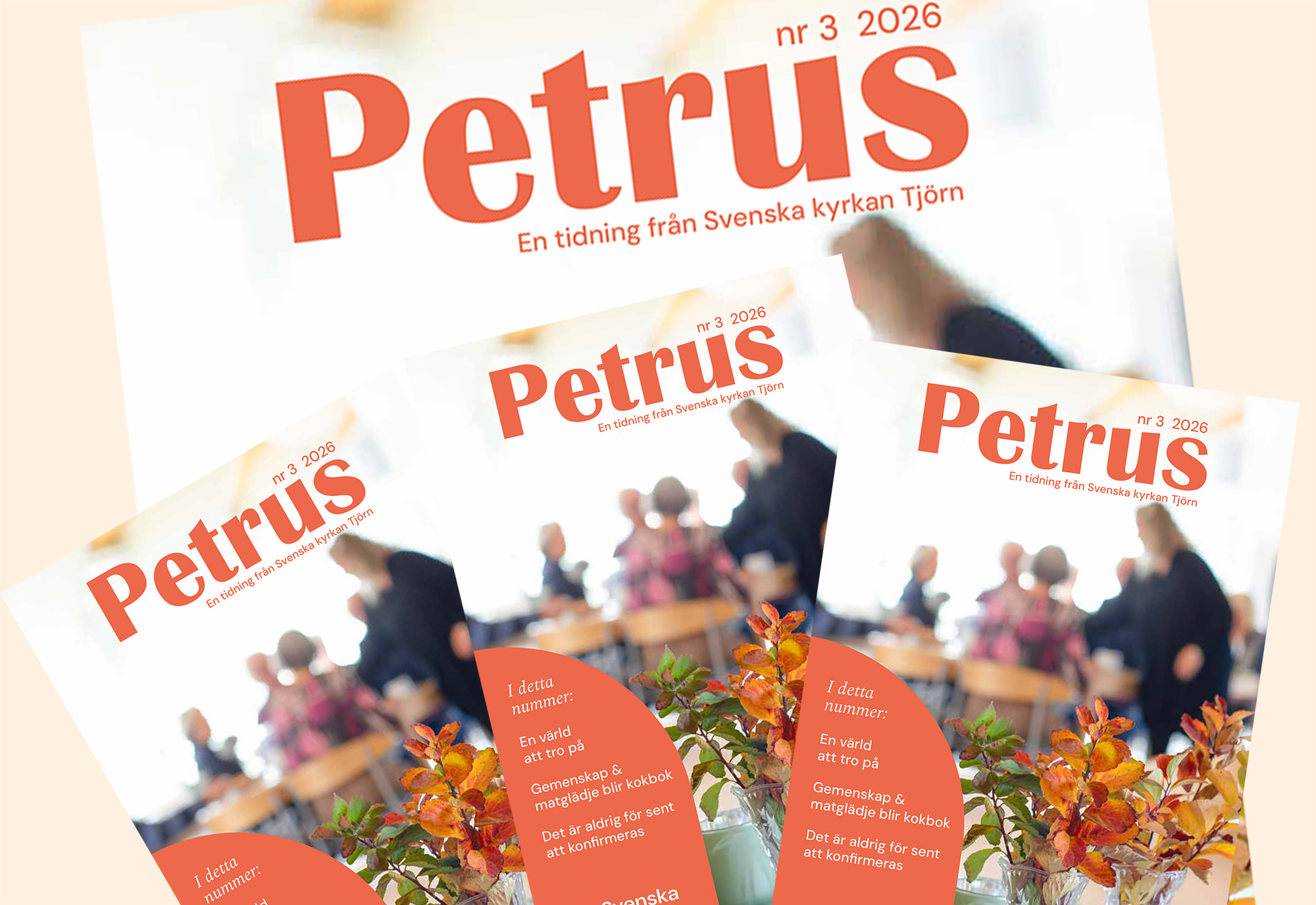 Petrus nr 3-26