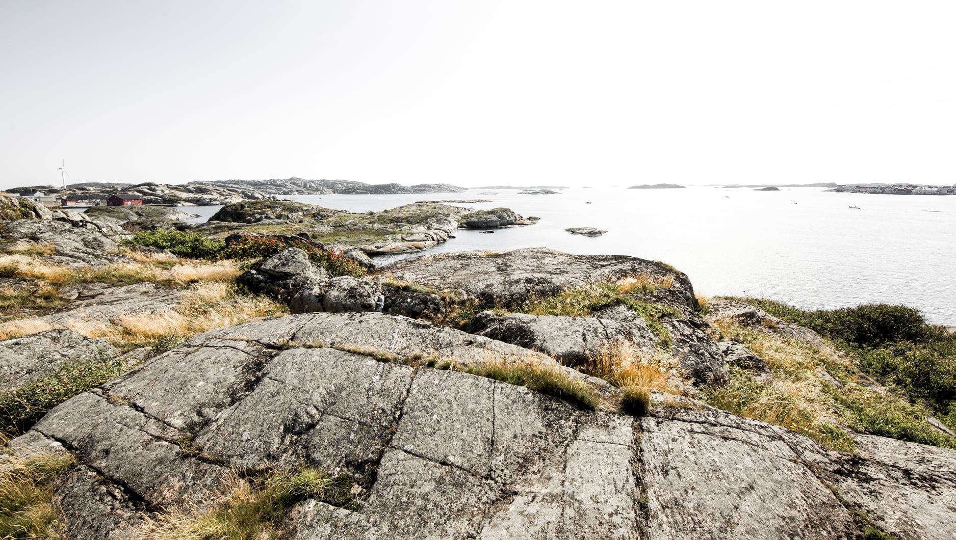 Utsikt över havet