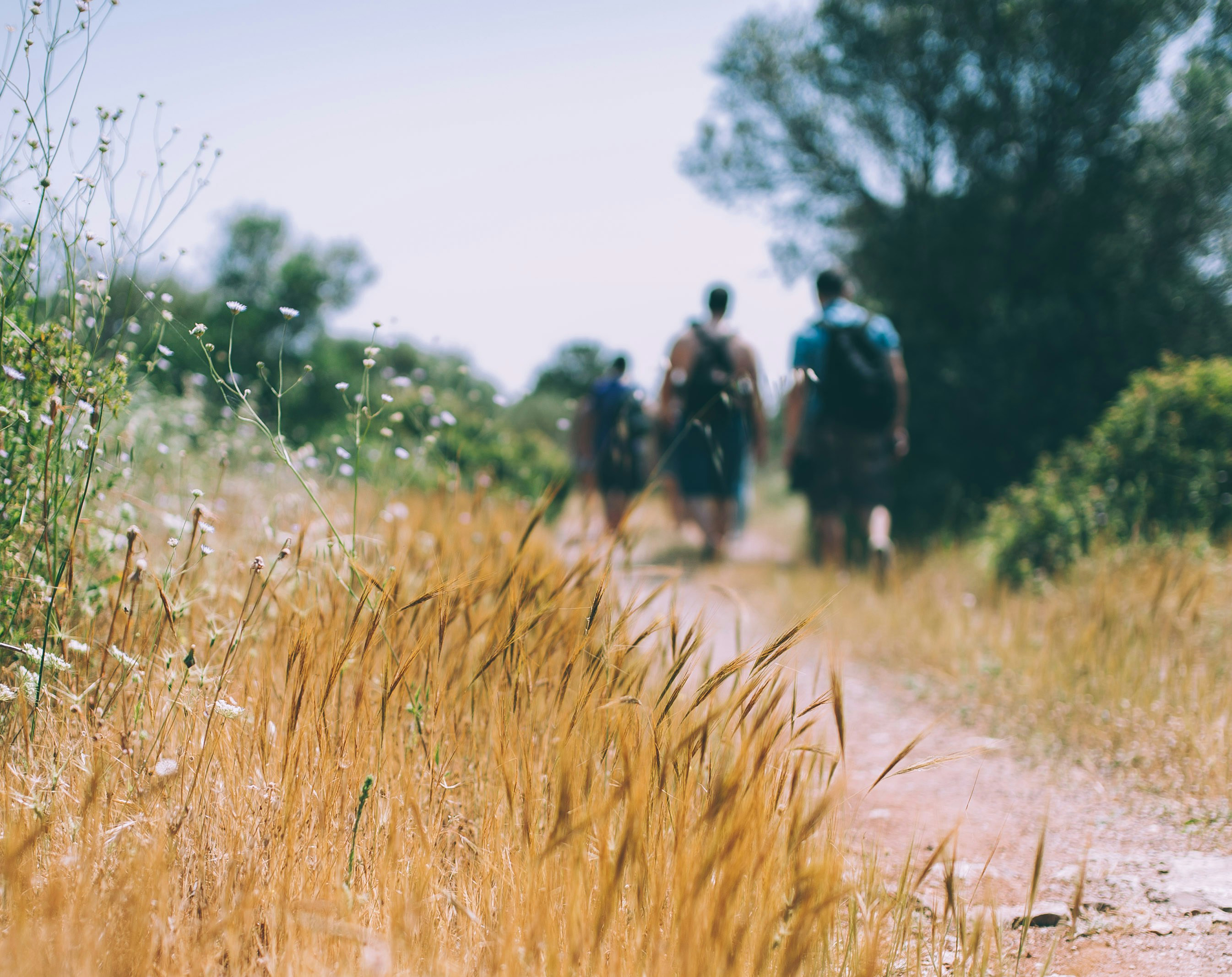 Pilgrimsvandring på Essingen