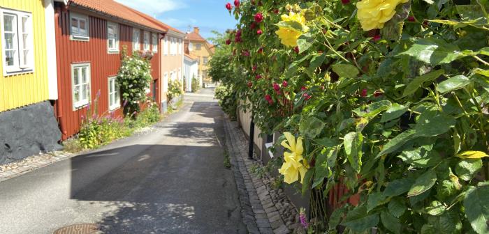 Kyrkmöss, lunchmusik, kyrkdetektiver och torsdagsträffar med mera. Trots att det blir en annorlunda sommar mot vad vi är vana vid kan vi fortfarande, på ett säkert sätt, genomföra vissa av våra aktiviteter under sommaren. Något vi är väldiga glada för!