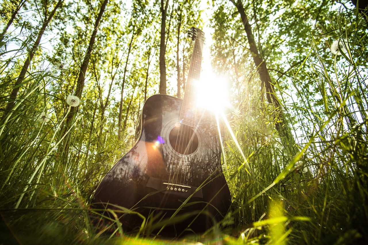 Gitarr i motljus
