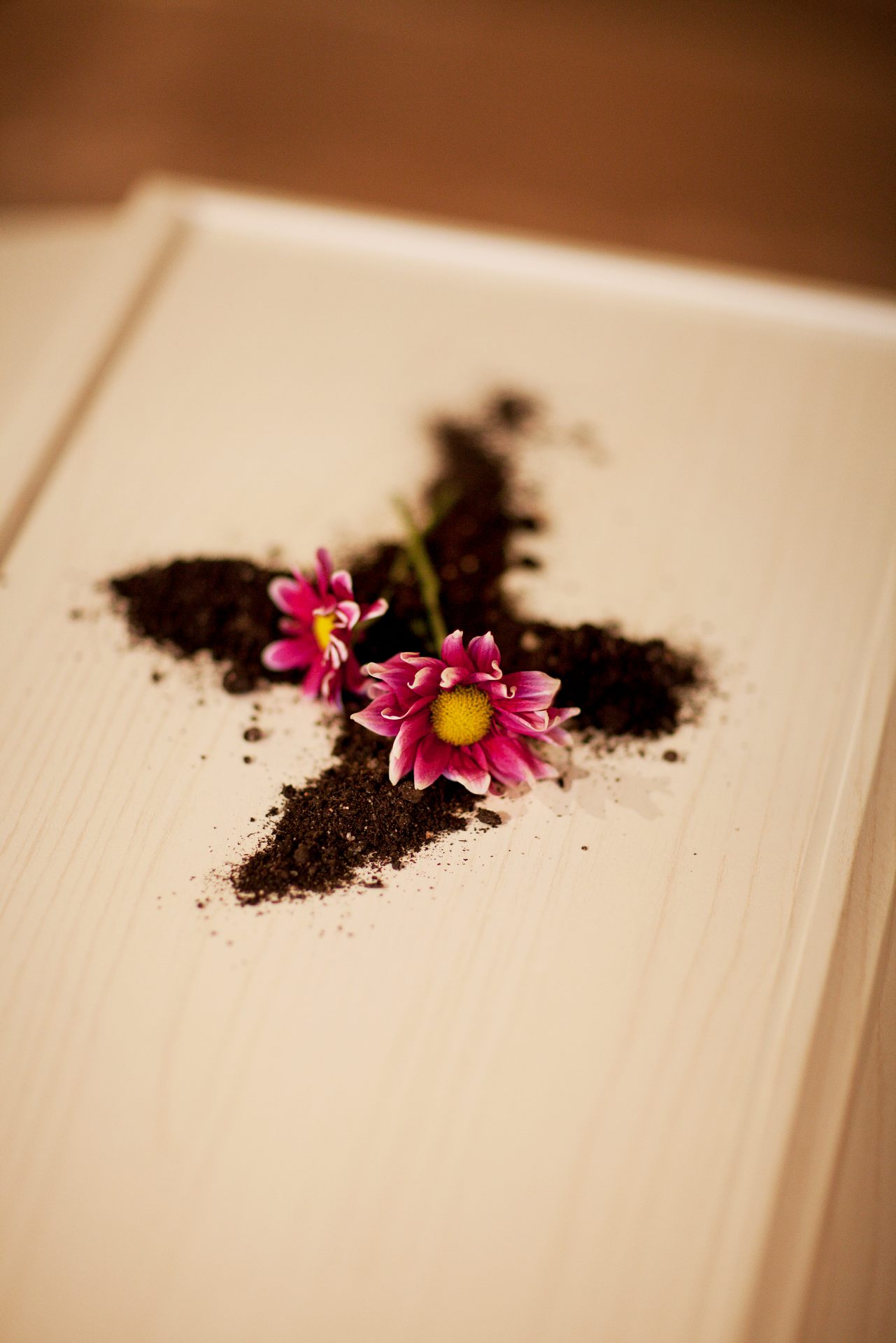 Kista med jord ovanpå, format som ett kors och med två blommor lagda ovanför.