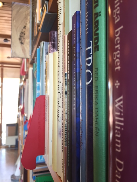 Rad av böcker där bokryggarna syns