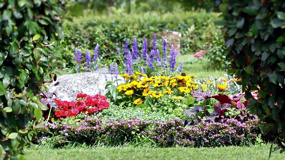 Färggranna blommor vid grav