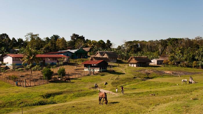 By i Guatemala. Hus i bakgrunden och gröna ytor med betande djur.