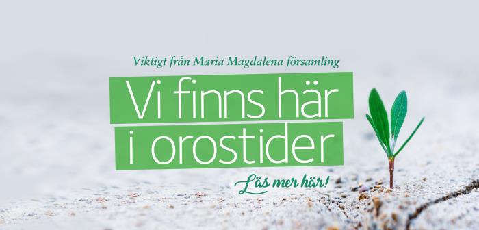 Behöver du stillhet, ljuständning och kanske
samtal. Är du 'isolerad' och behöver praktisk hjälp?