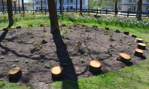 En askgravplats är ett alternativ för de efterlevande som vill ha en plats att gå till och ett namn på en metallbricka -- men inte ansvaret för en grav. En ny askgravplats har anlagts på Norra kyrkogården i vår.