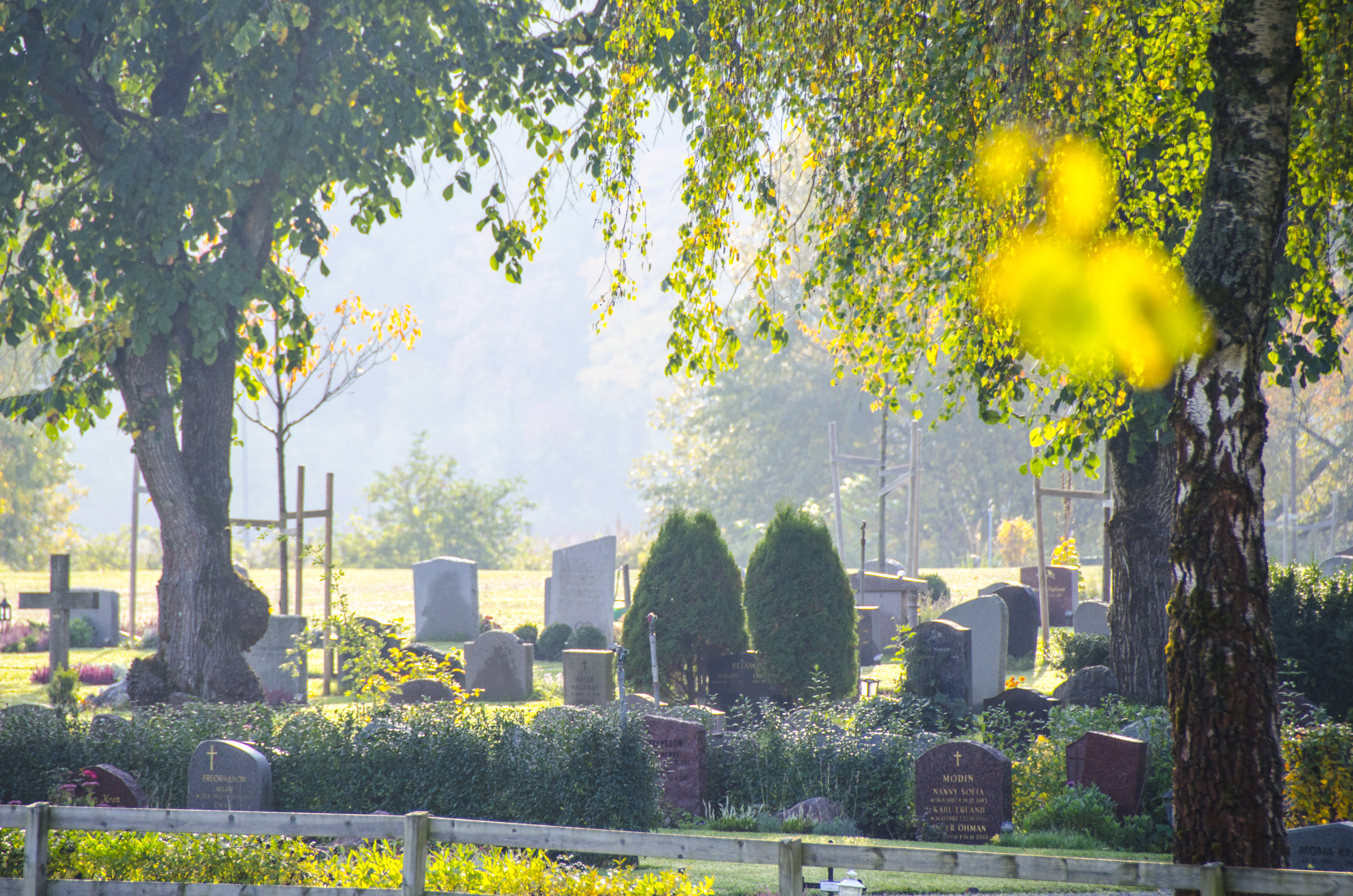 Danderyds kyrkogård i höstmorgondis.