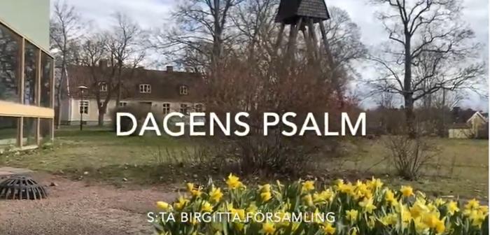 I S:ta Birgitta församling sjunger varje dag någon eller några en psalm och ber Herrens bön. Här kan du vara med på andakterna i efterhand!