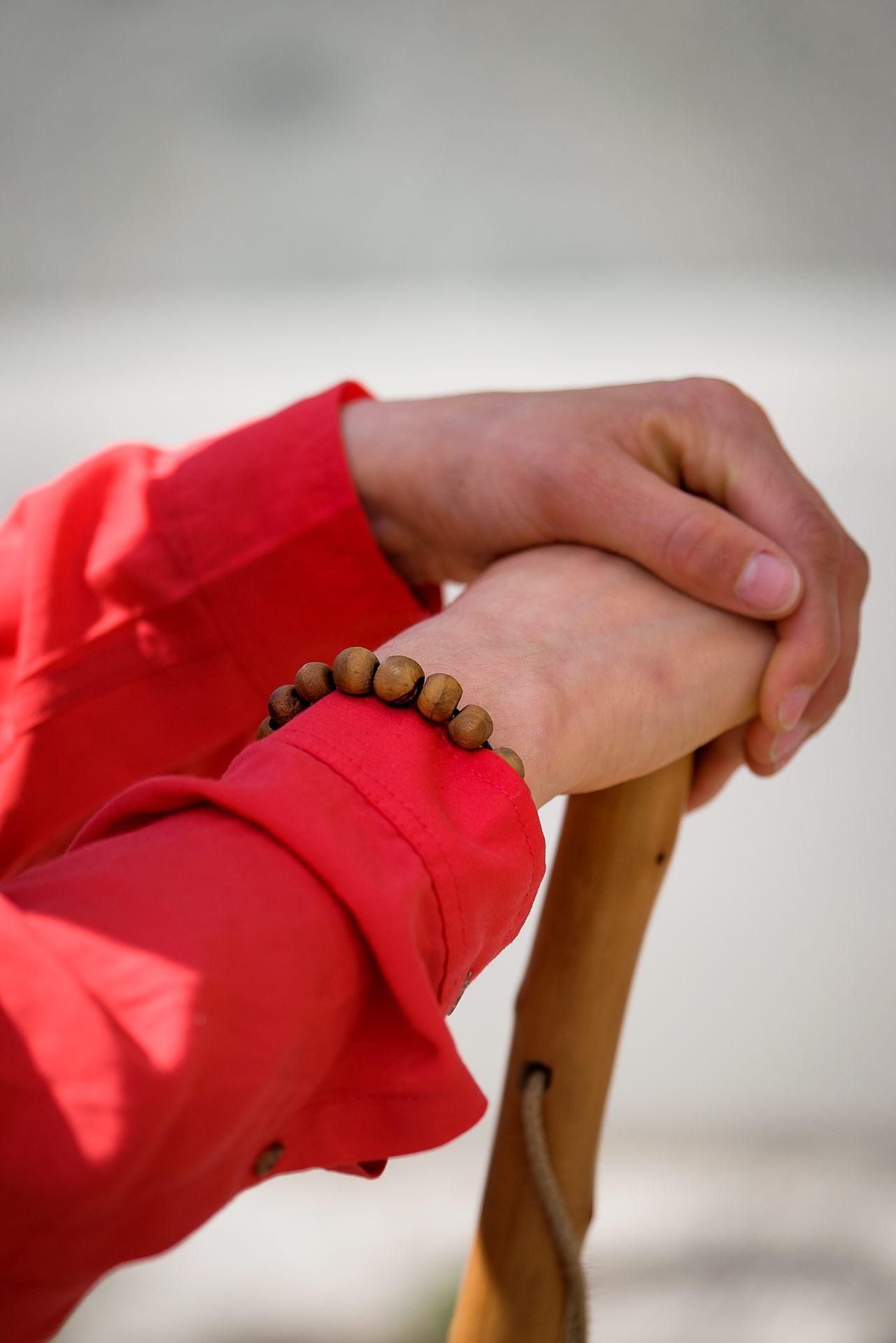 Diakoni är omsorg om hela skapelsen.