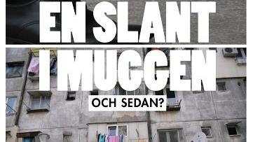 En slant i muggen - och sedan?