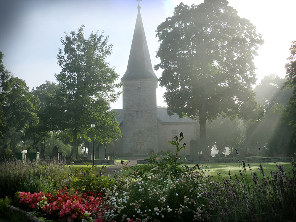 Solstrålar lyser genom morgondimma vid Forshems kyrka.