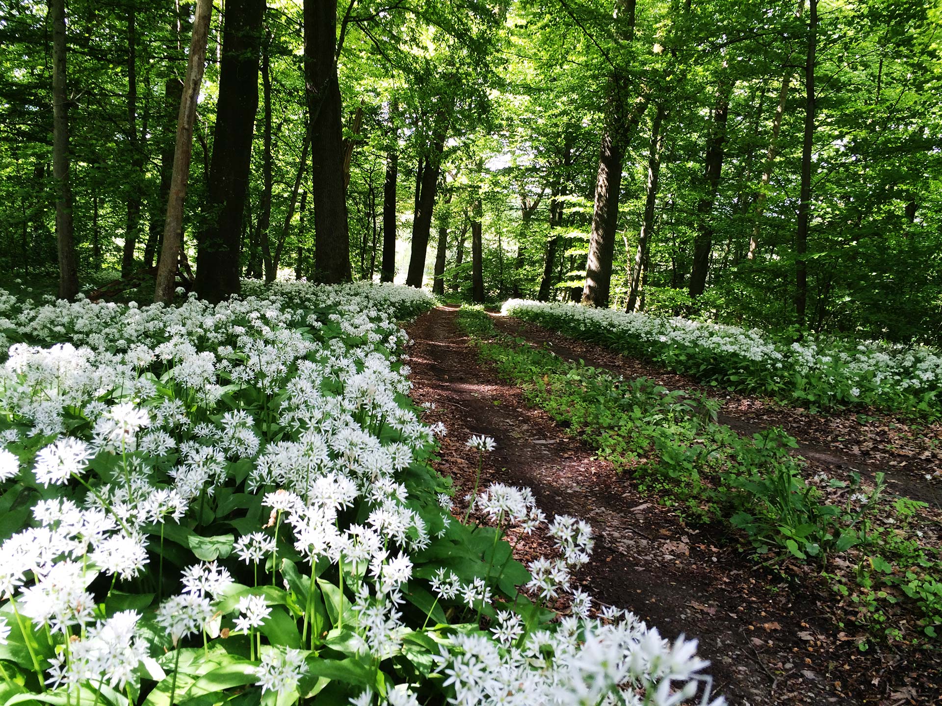 Fyledalen våren 2015