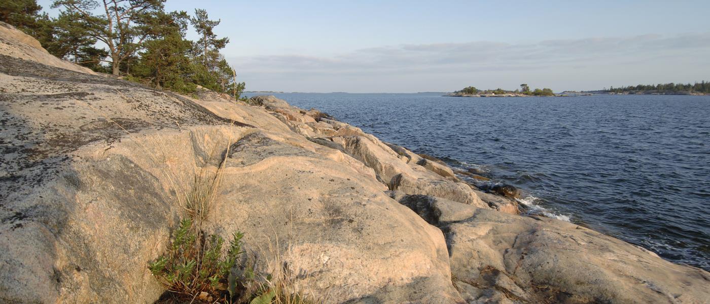 Stenklippor med växter vid havskust