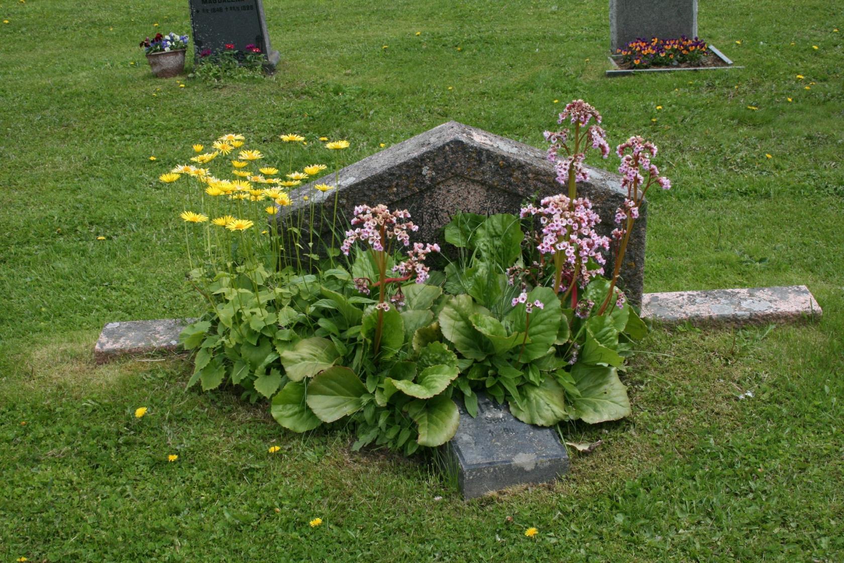 Gravplats, Ås kyrkogård 