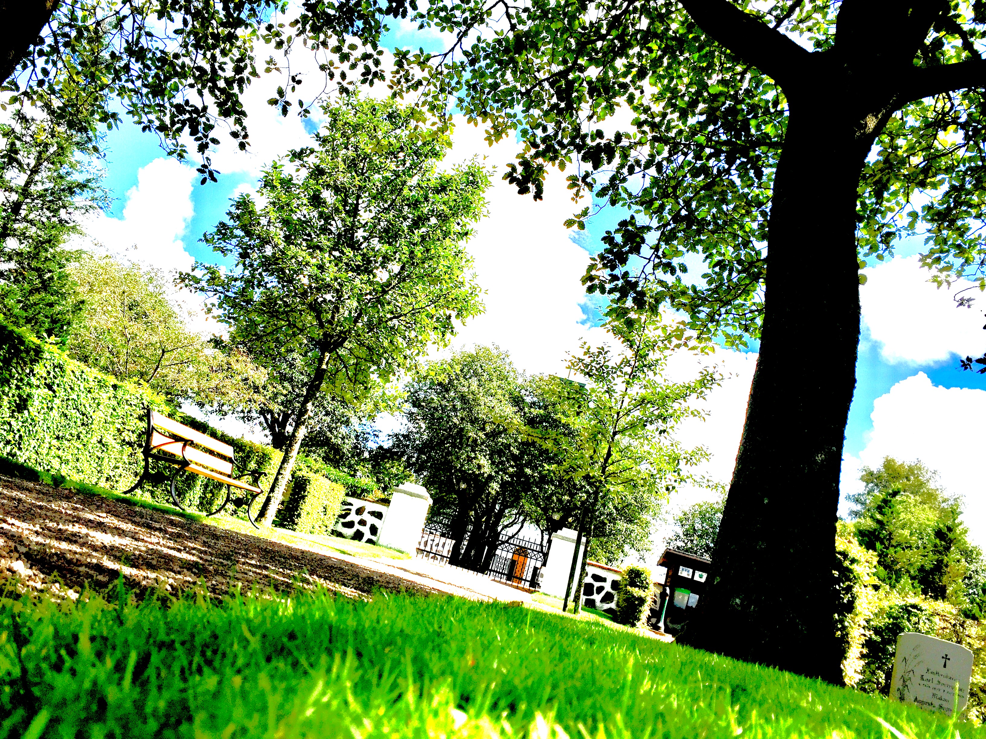 Grevie kyrkogård på sommaren