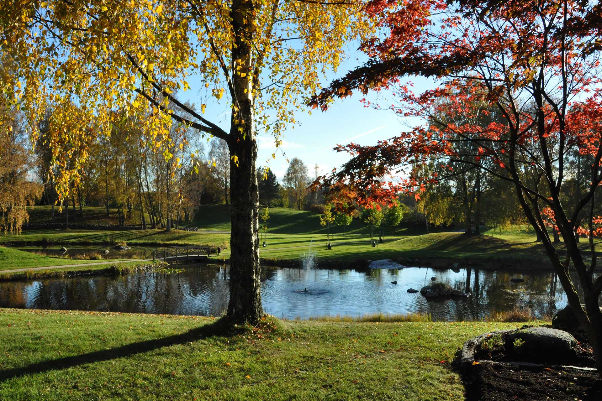 Höst bild Håjums begravningsplats