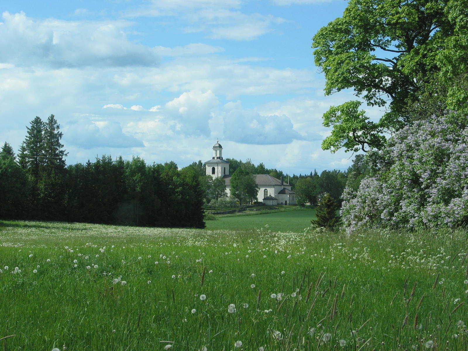 Huddunge kyrka med gräs och blommande träd i förgrunden.