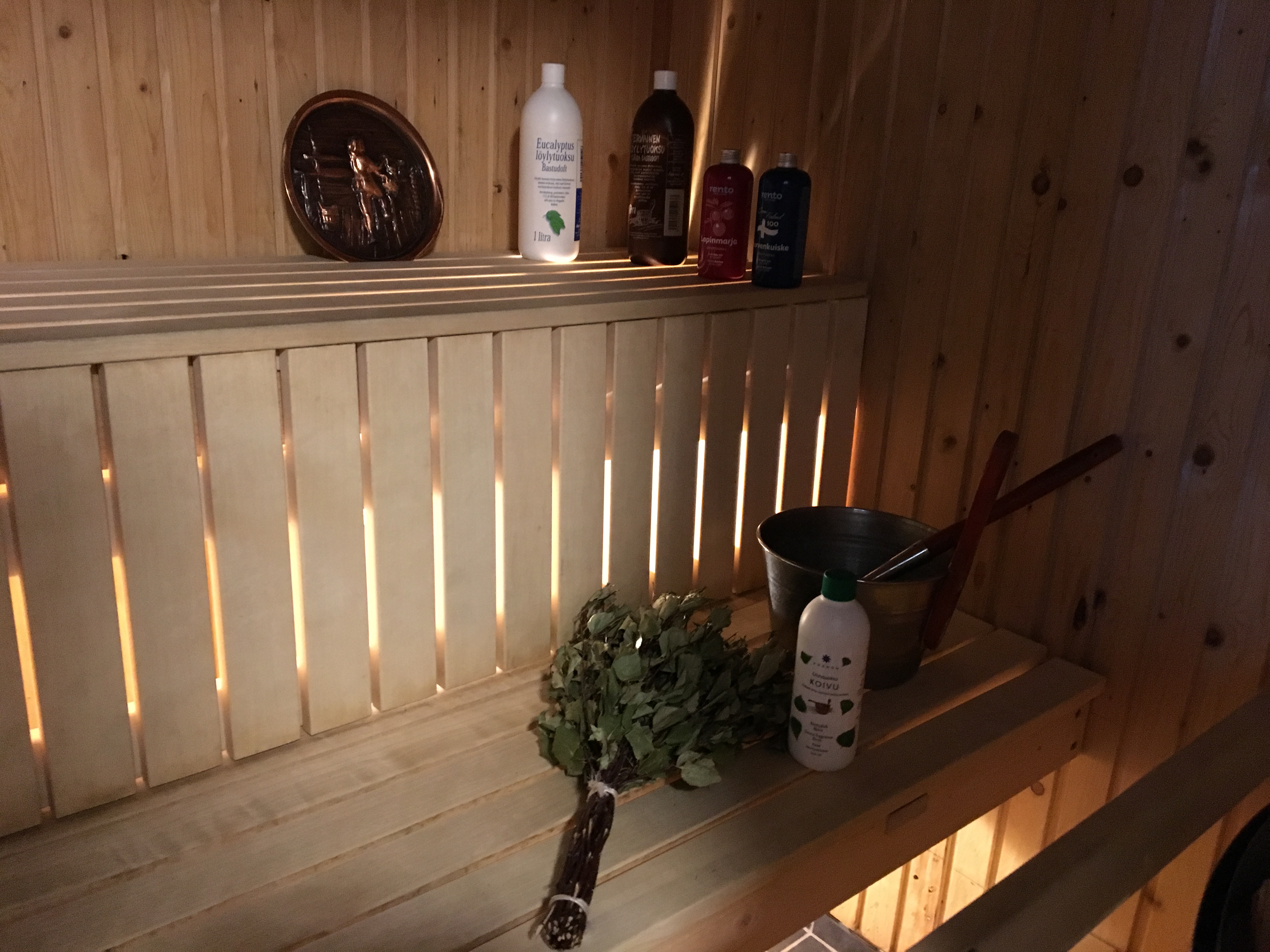 Bild från bastun med björkris, tvål och hink. 